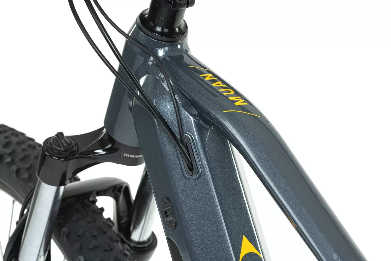 LEVIT EMTB MUAN MX 3 468 29", Black Pearl - Billede 5